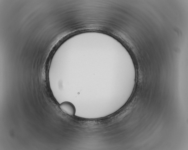 X0000114210883200911061443