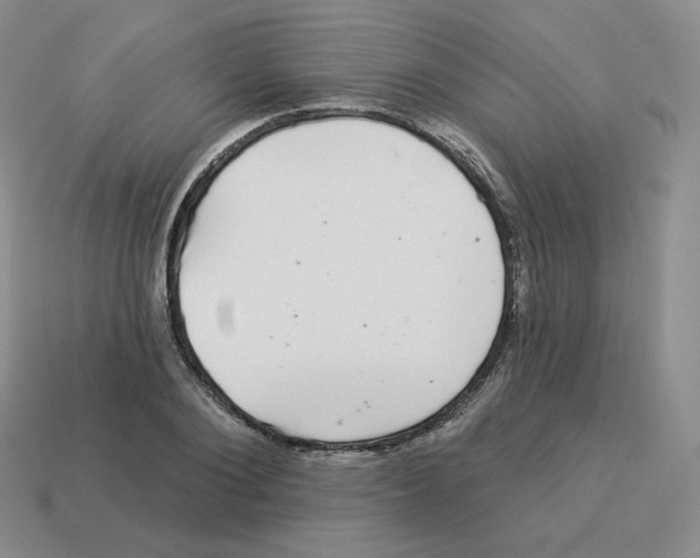 X0000114210884200911061443