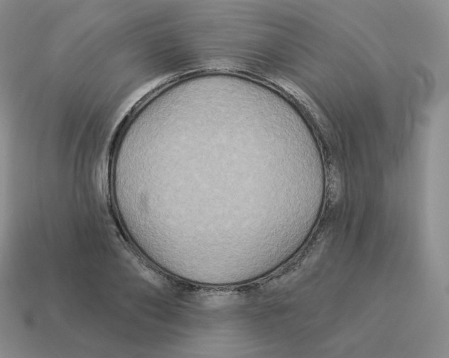 X0000114210886200911061443