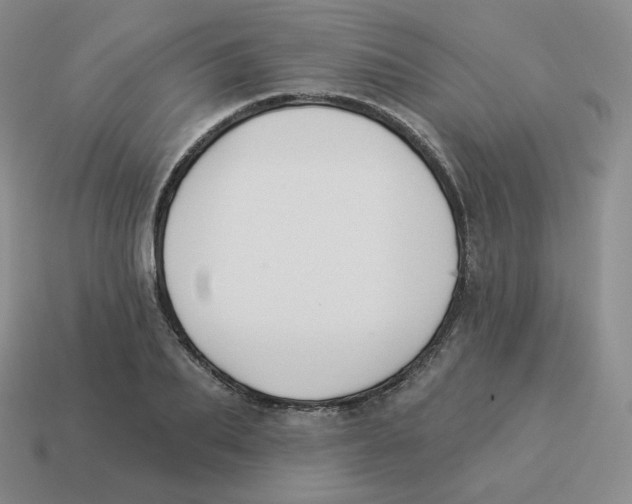 X0000114210887200911061443