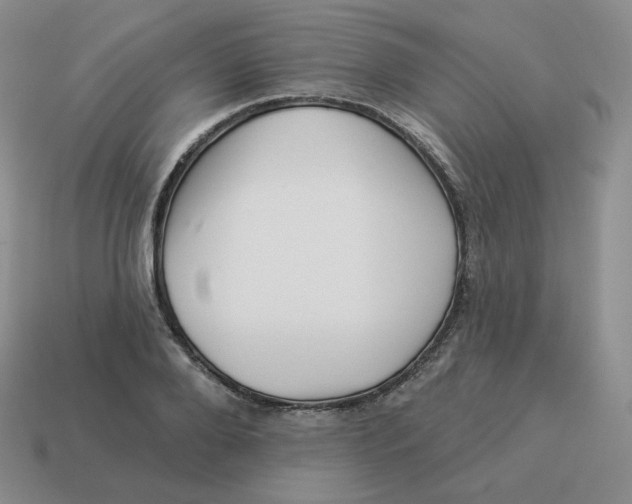 X0000114210888200911061443