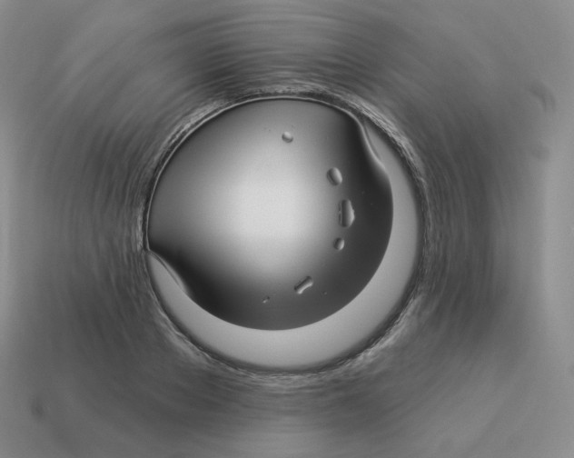 X0000114210889200911061443