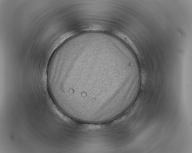 X0000114210890200911061443