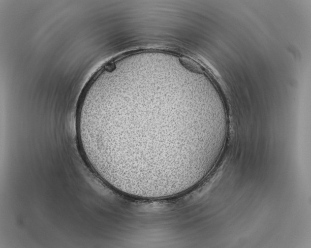 X0000114210891200911061443