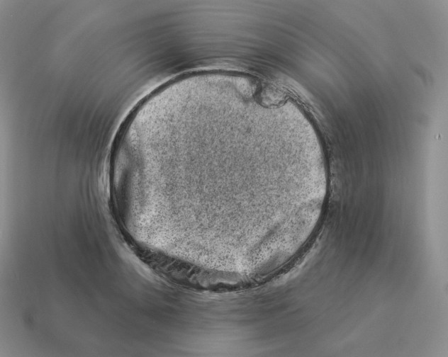 X0000114210892200911061443