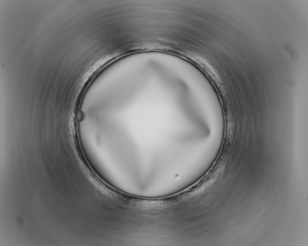 X0000114210893200911061443