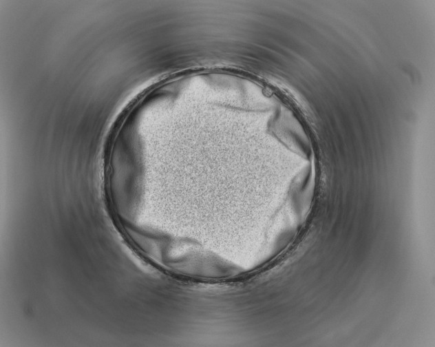 X0000114210894200911061443