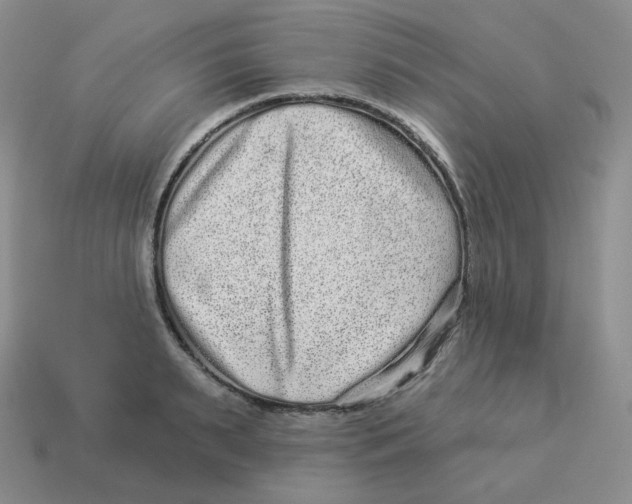 X0000114210895200911061443