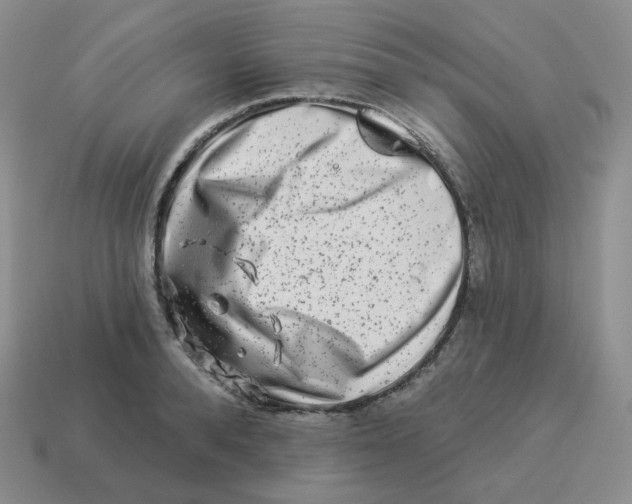 X0000114210896200911061443