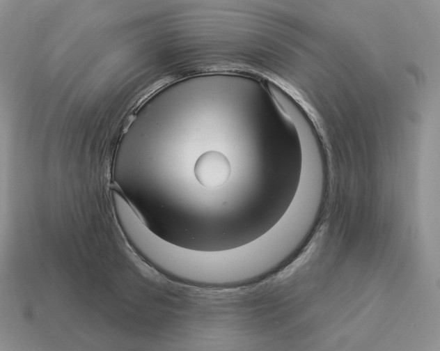 X0000114210897200911061443