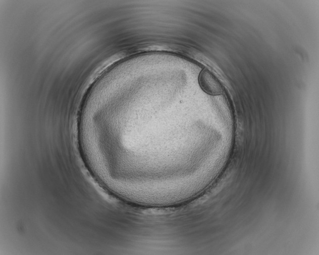 X0000114210898200911061443