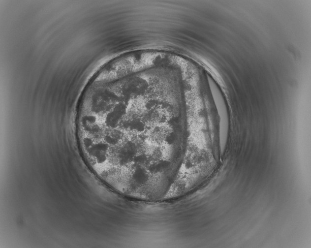 X0000114210899200911061443