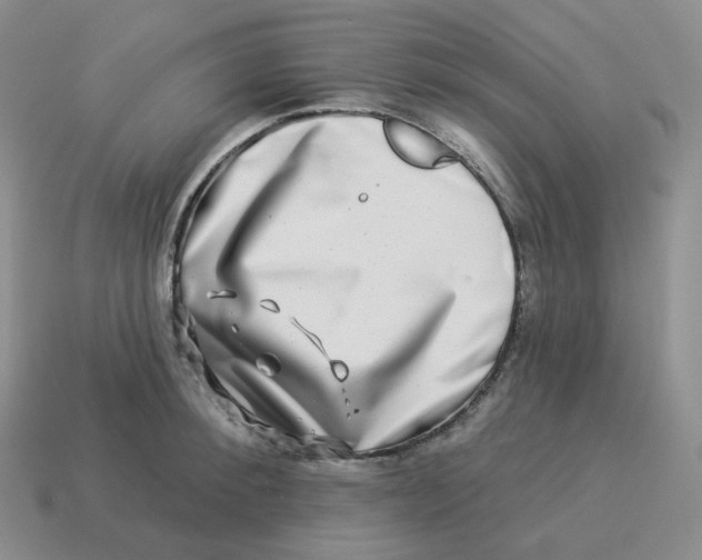 X0000114210900200911061443