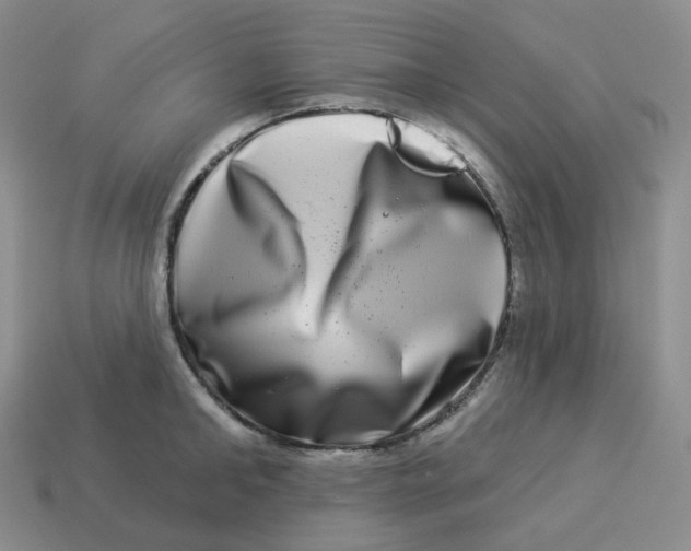 X0000114210902200911061443