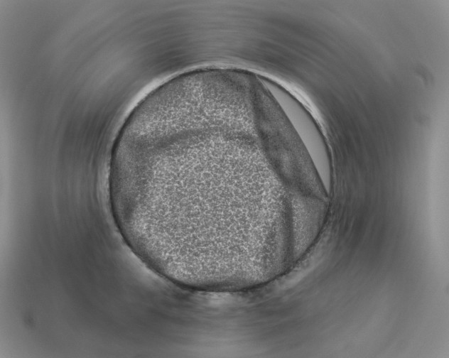 X0000114210903200911061443