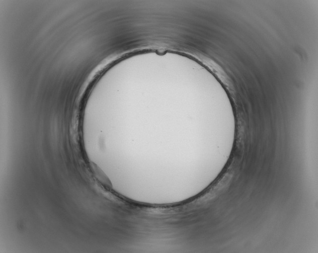 X0000114210904200911061443