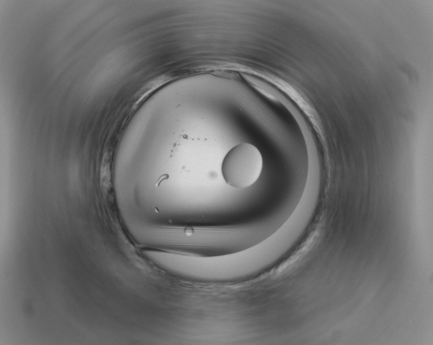 X0000114210905200911061443