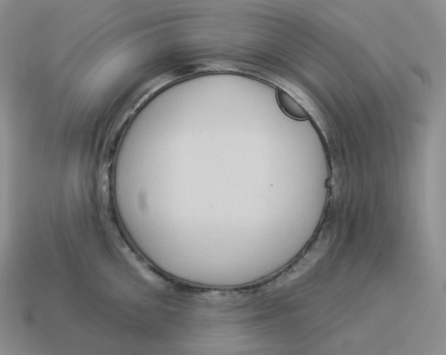 X0000114210906200911061443