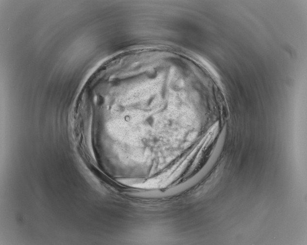 X0000114210907200911061443