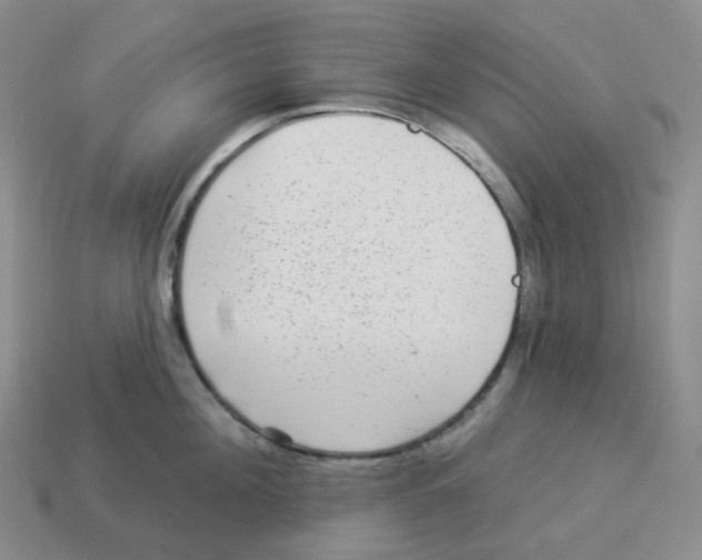 X0000114210908200911061443