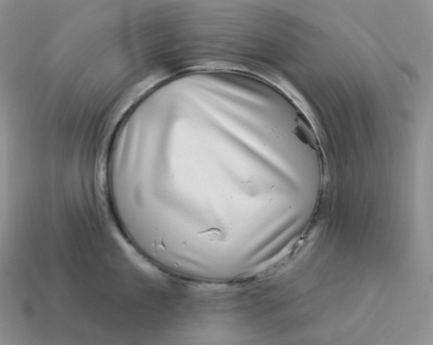 X0000114210909200911061442