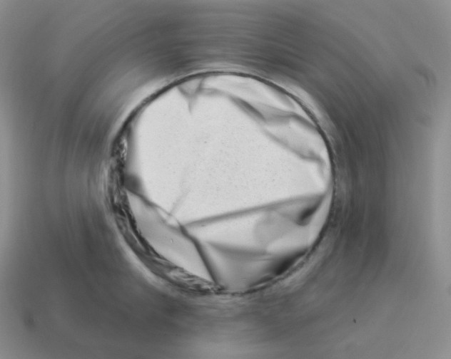 X0000114210910200911061442