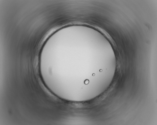 X0000114210911200911061442