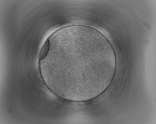 X0000114210912200911061442