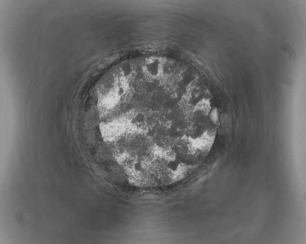 X0000114210913200911061442