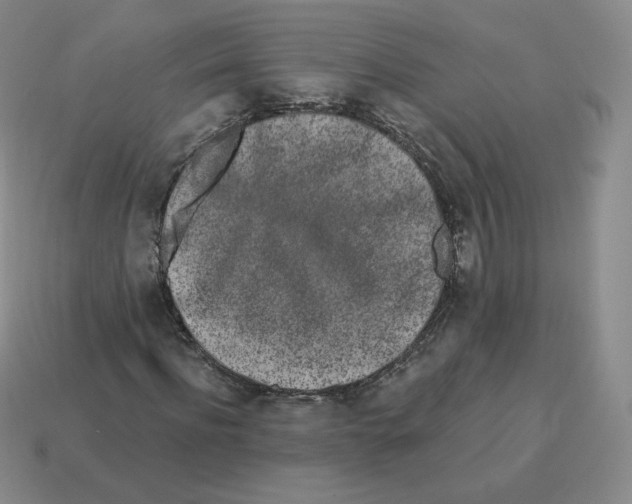 X0000114210916200911061442