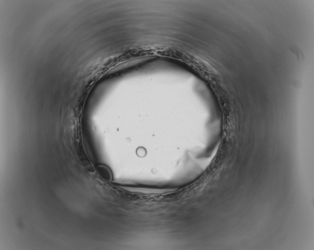 X0000114210917200911061442