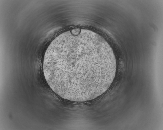 X0000114210918200911061442