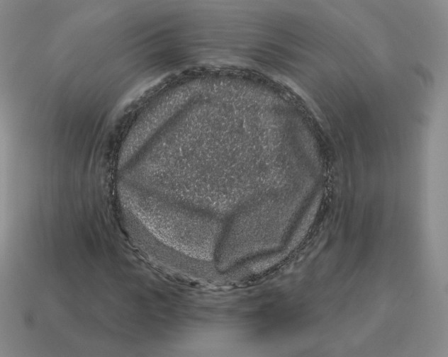 X0000114210919200911061442