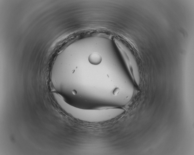 X0000114210920200911061442