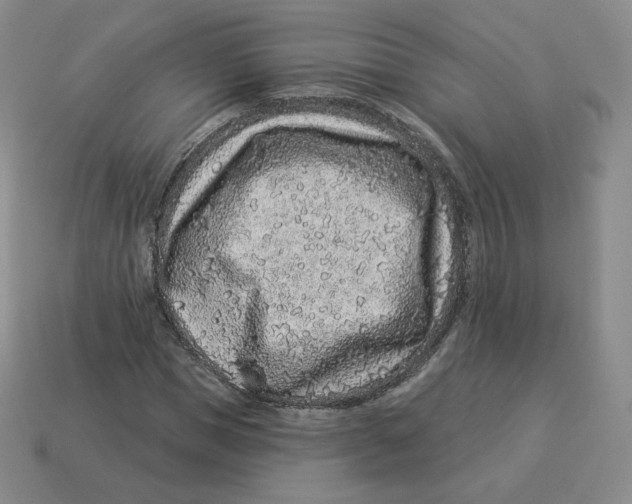 X0000114210921200911061442