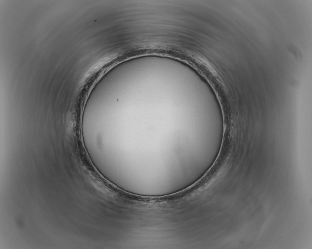 X0000114210922200911061442