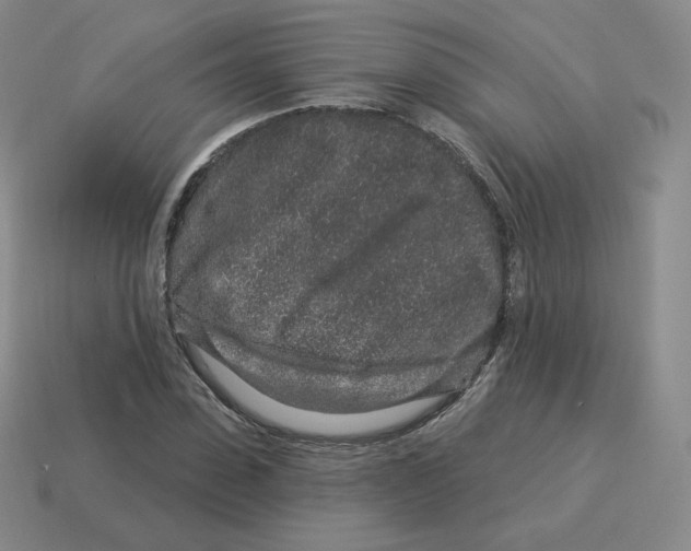 X0000114210923200911061442