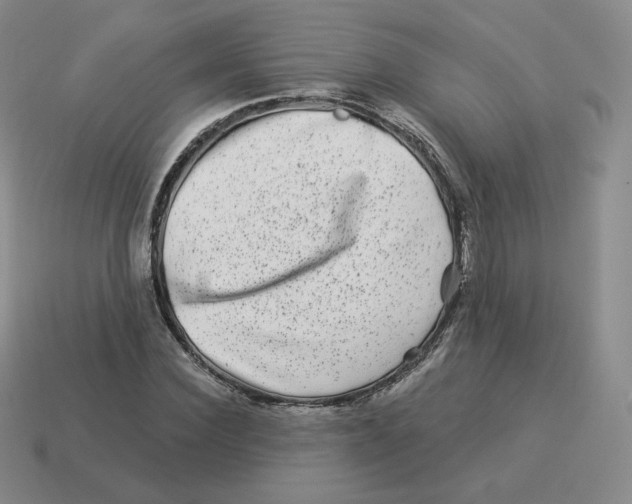 X0000114210924200911061442