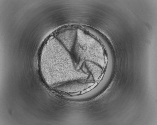 X0000114210925200911061442