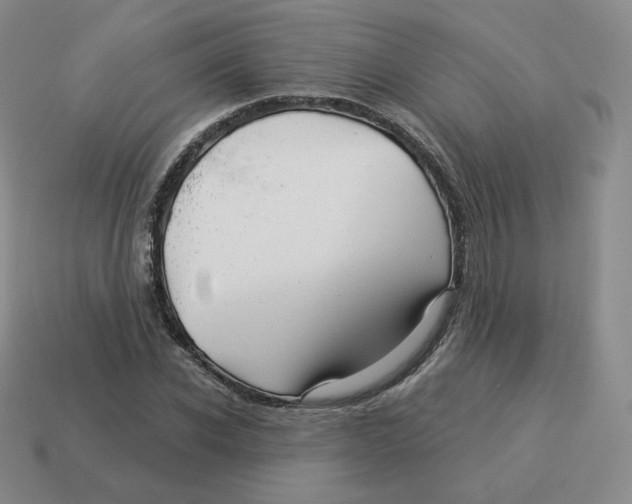 X0000114210926200911061442