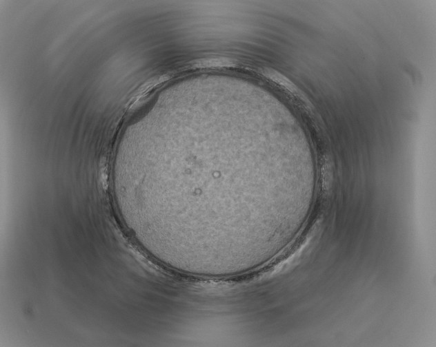 X0000114210929200911061442