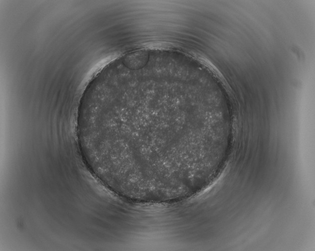 X0000114210930200911061442