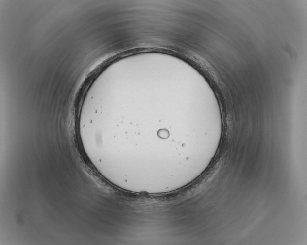 X0000114210931200911061442