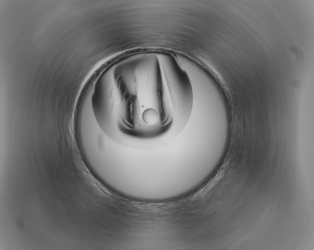 X0000114210932200911061442