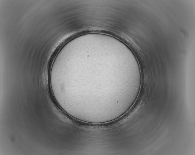 X0000114210934200911061442