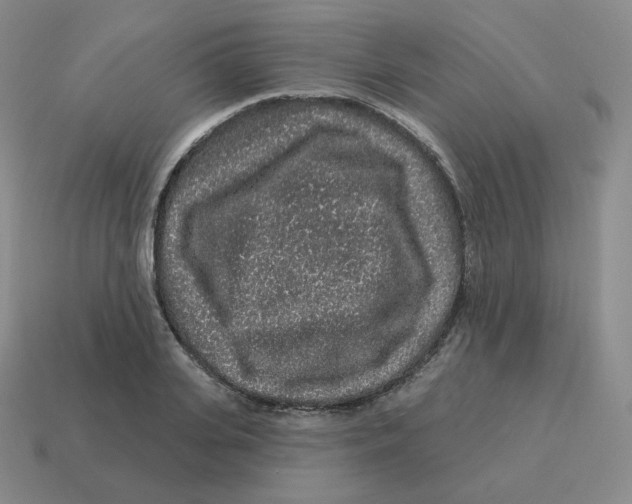 X0000114210935200911061442