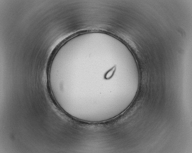 X0000114210936200911061442