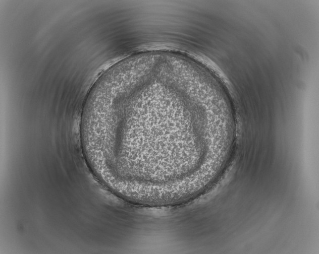 X0000114210937200911061442