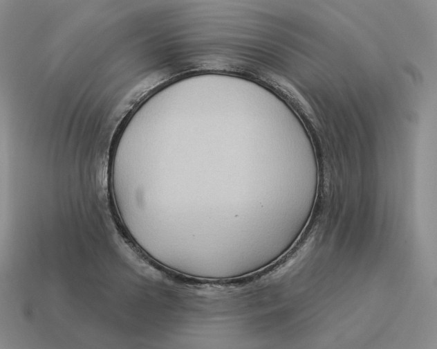 X0000114210938200911061442