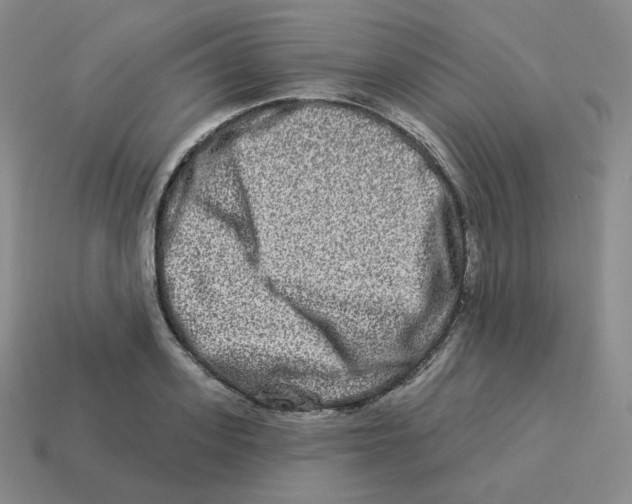 X0000114210939200911061442